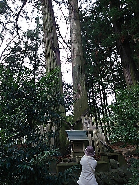 b0163088_14154130.jpg