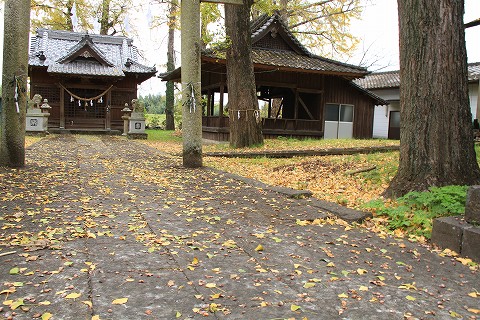 a0222494_171585.jpg