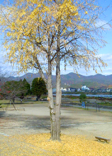 d0053294_094510.jpg