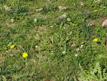 a0125598_22555874.jpg