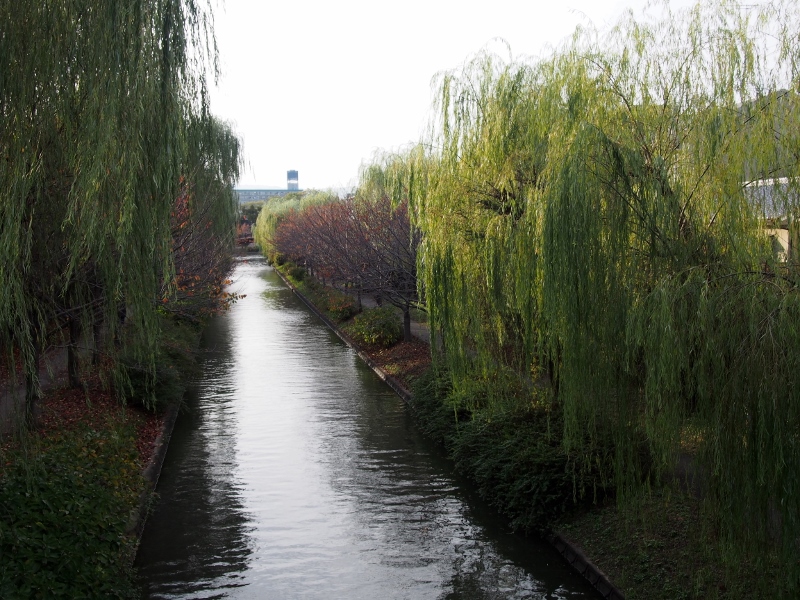 b0039898_152241.jpg