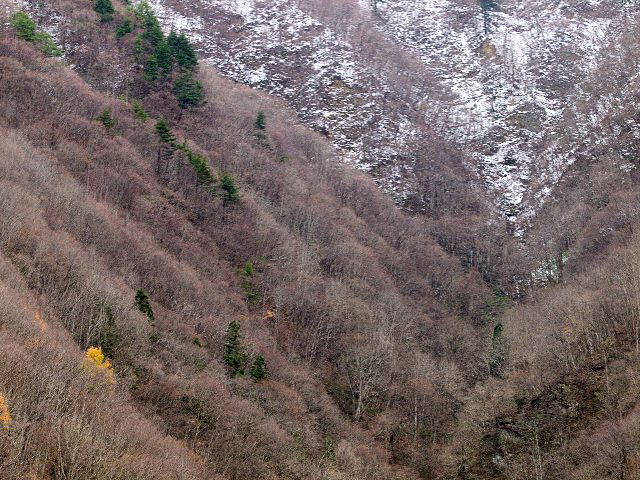 c0008502_105297.jpg