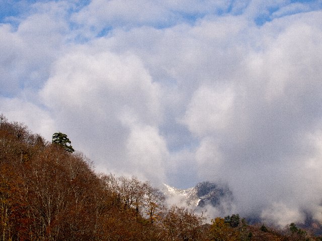 c0008502_1055492.jpg