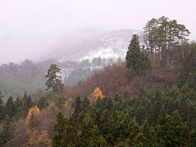 c0008502_16561497.jpg
