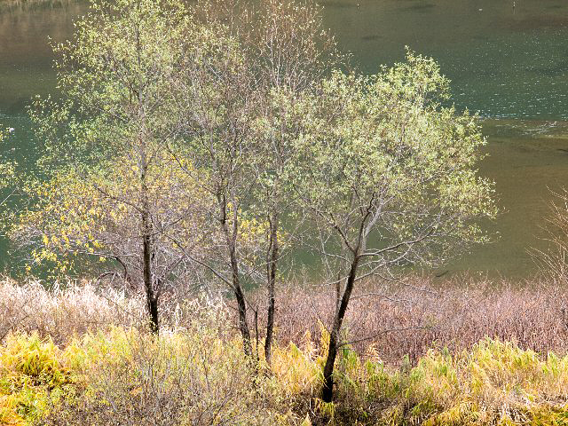 c0008502_1657314.jpg