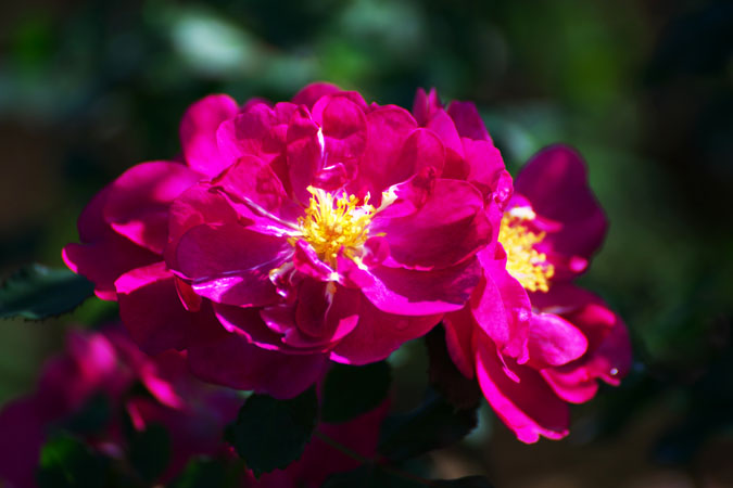 a0263109_2141467.jpg