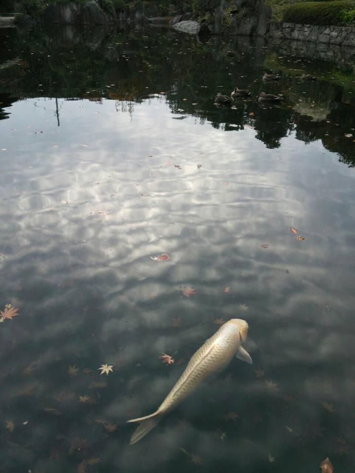 e0082110_2364591.jpg