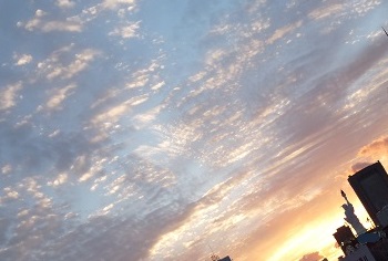 b0191418_17245553.jpg