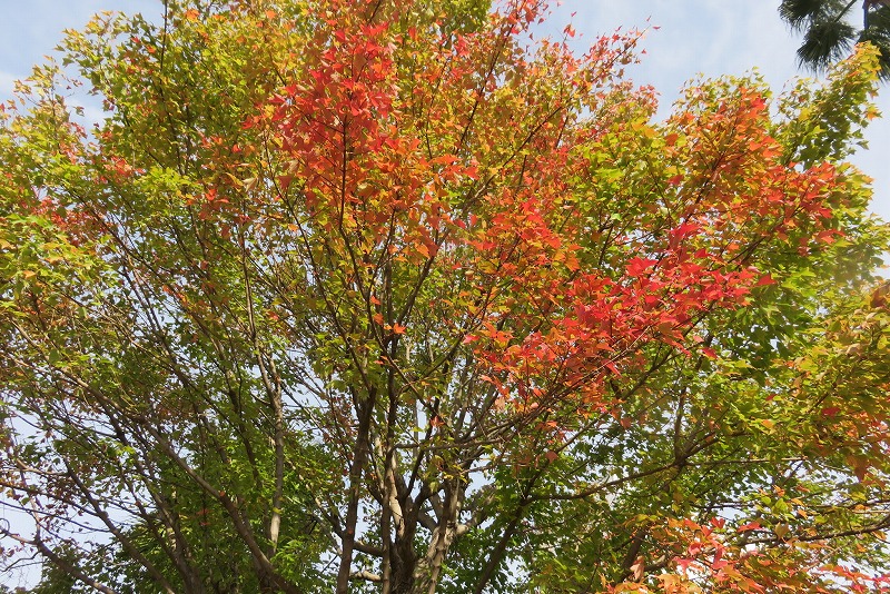 a0017634_18251127.jpg