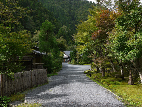 b0035734_15042749.jpg