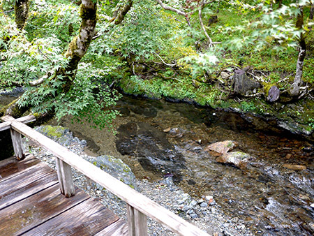b0035734_15044163.jpg