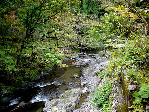 b0035734_15050434.jpg