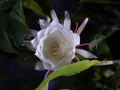b0035734_15070461.jpg