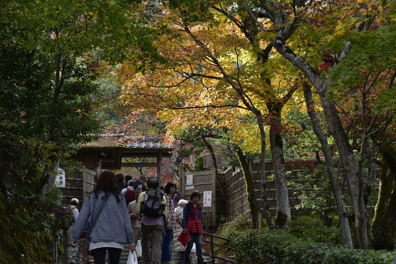b0042837_213458.jpg