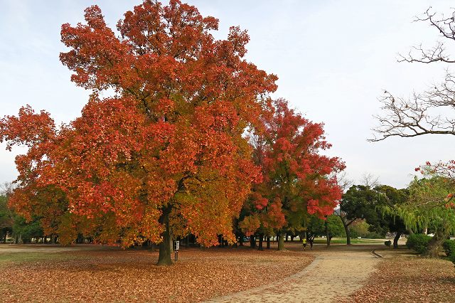 a0242438_19231433.jpg
