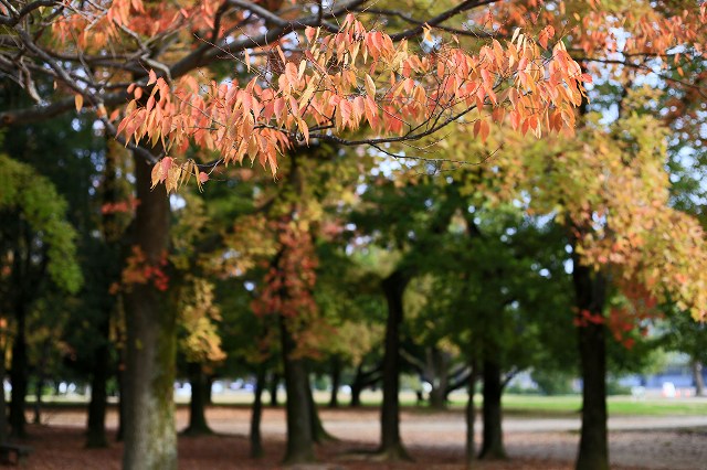 a0242438_19234238.jpg