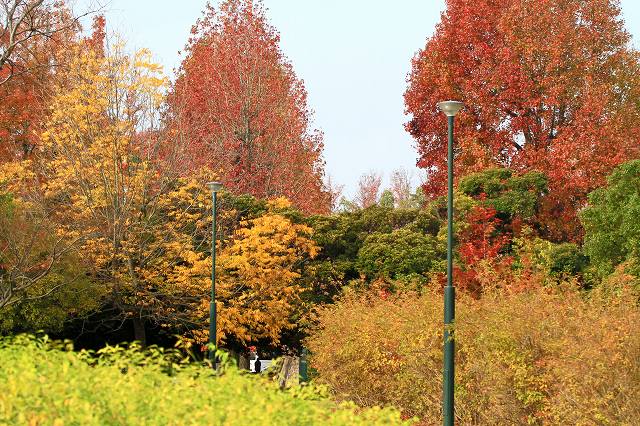 a0242438_1929110.jpg