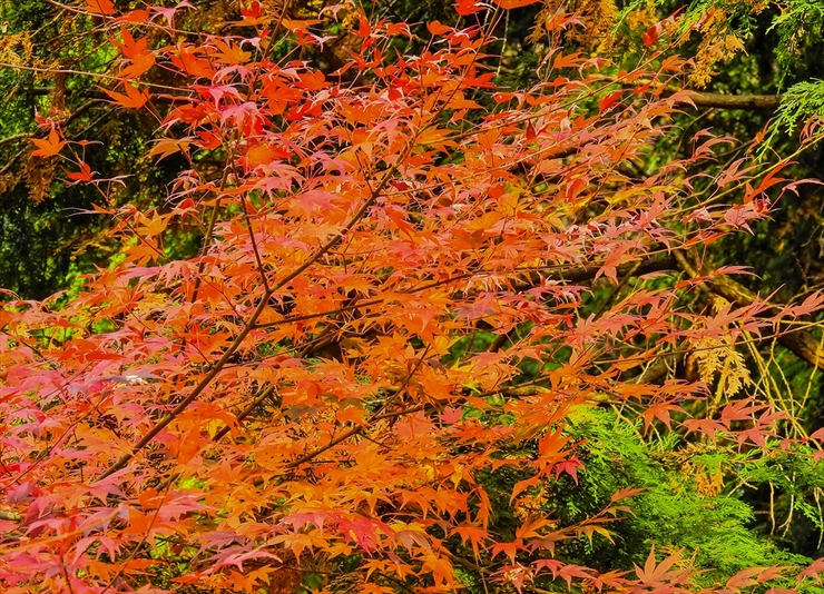 b0242140_2118613.jpg