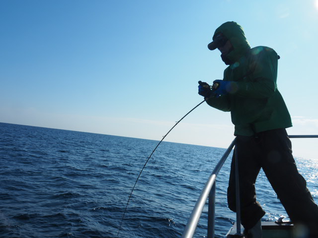 a0248152_180344.jpg
