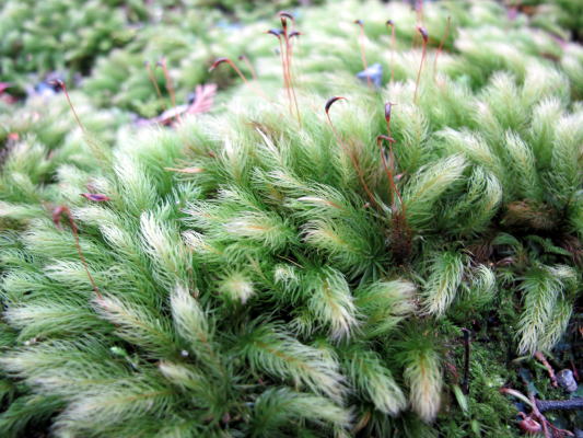 c0147952_22504896.jpg