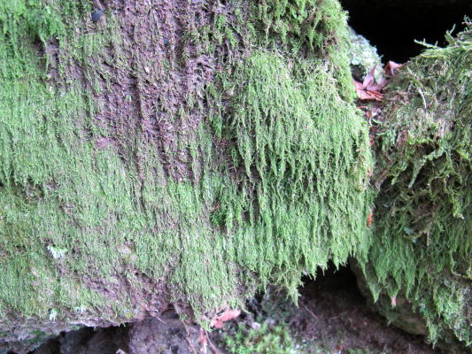c0147952_2251716.jpg