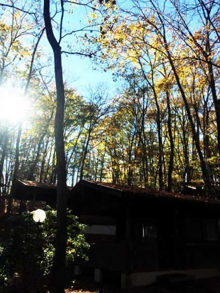 b0008655_10581460.jpg