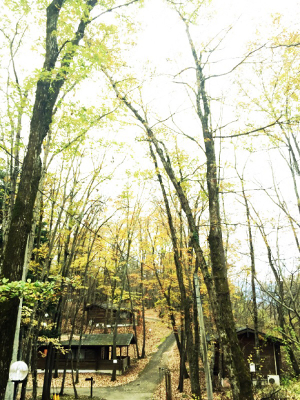 b0008655_11231723.jpg
