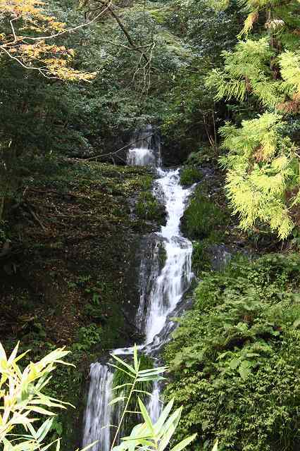 f0340155_12190624.jpg