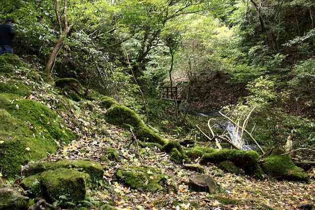 f0340155_12220069.jpg