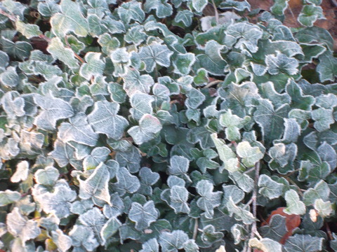 c0059063_16563332.jpg