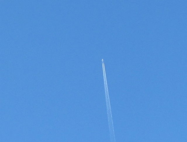 c0219866_19154364.jpg