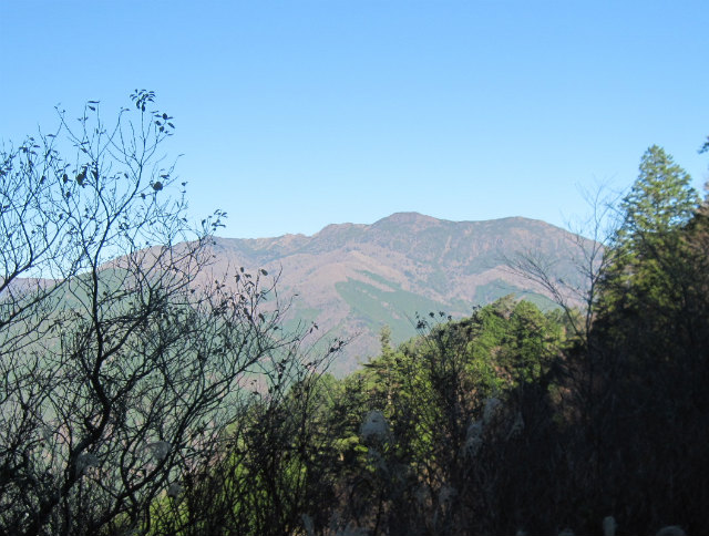 c0219866_1915584.jpg