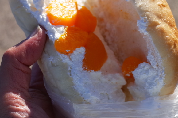 a0232368_21501692.jpeg