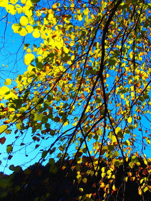 c0122670_00021036.jpg
