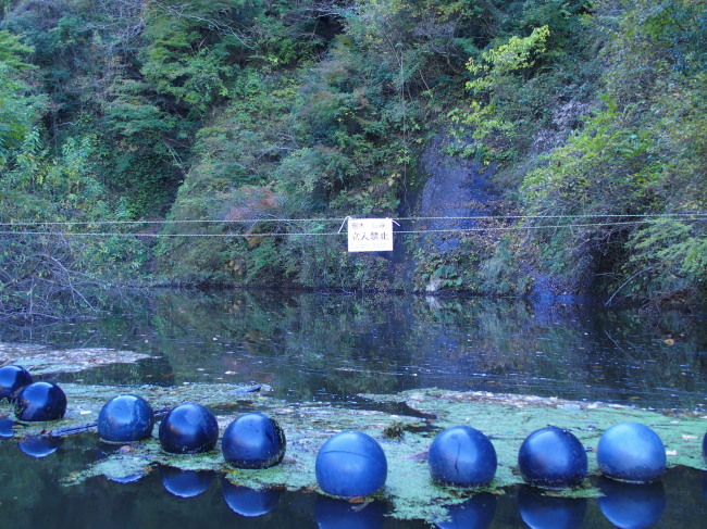 c0122670_00071475.jpg