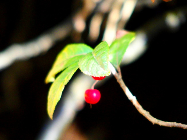 c0122670_00104009.jpg