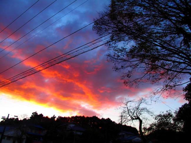 c0122670_00125826.jpg