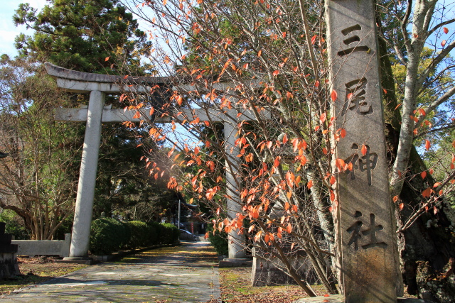 b0055171_2225064.jpg