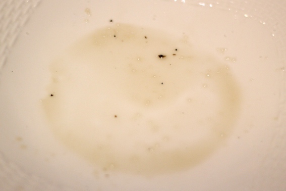 e0170272_9115259.jpg