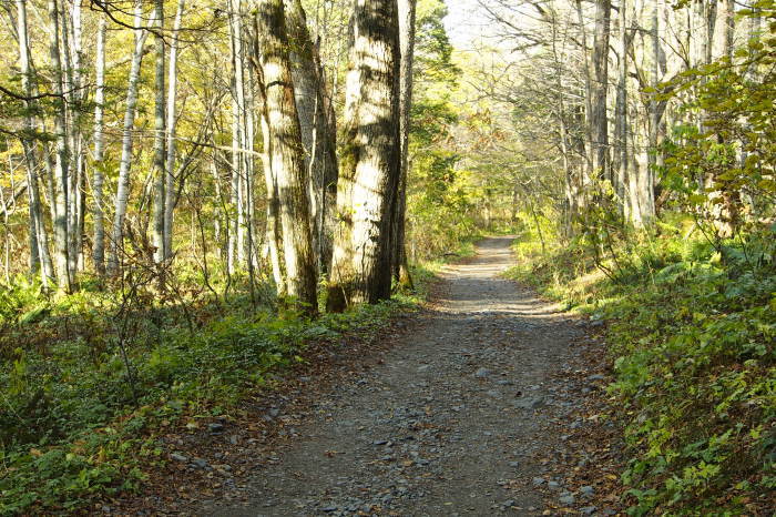 e0307372_17152893.jpg