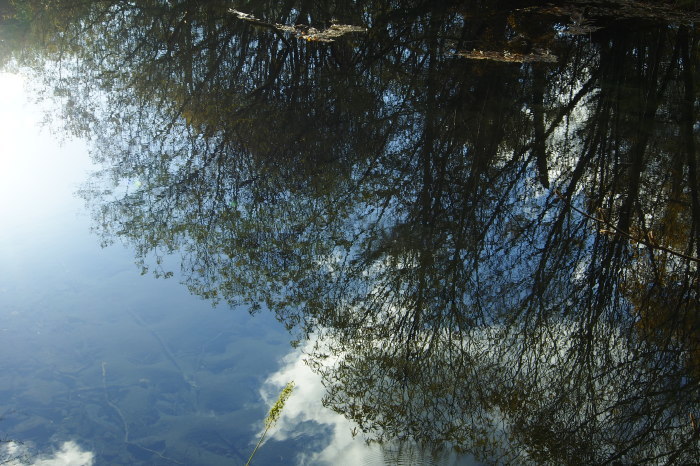 e0307372_19220747.jpg