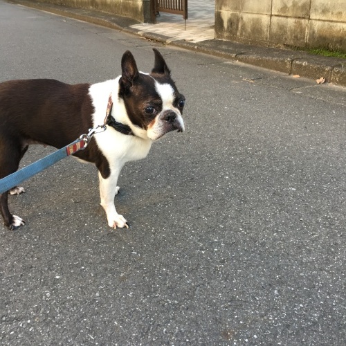 d0041575_22121710.jpeg
