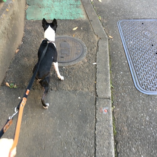 d0041575_22141877.jpeg