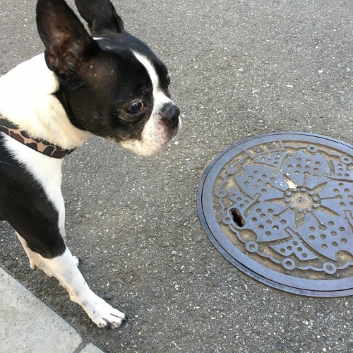 d0041575_22145153.jpeg
