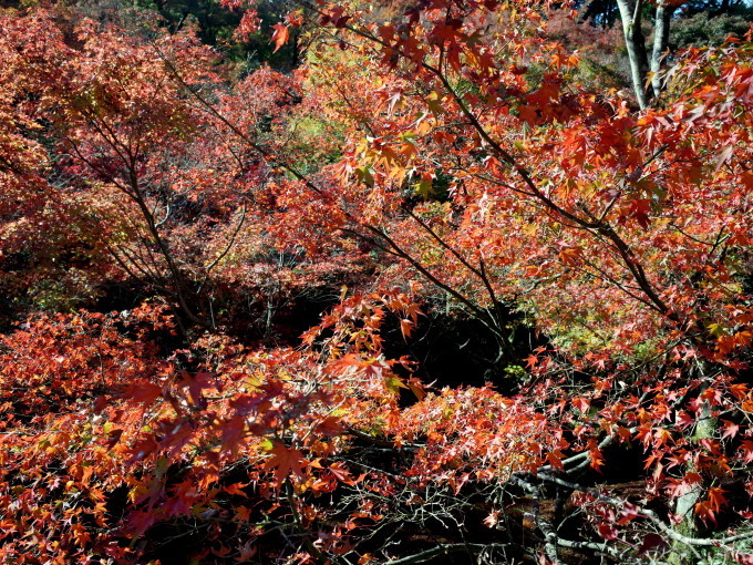 c0188784_08244518.jpg