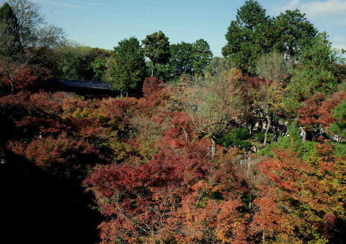 c0188784_08250589.jpg
