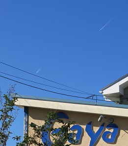e0130185_1233655.jpg