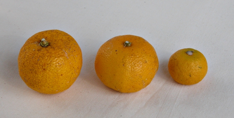 c0168096_7153643.jpg