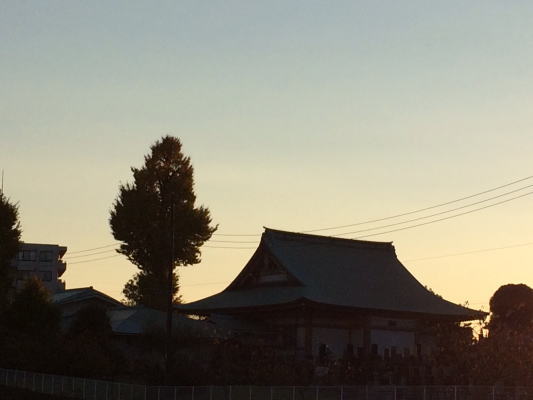 b0160300_20285292.jpg
