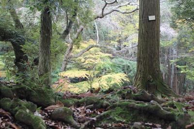 c0041207_14134295.jpg